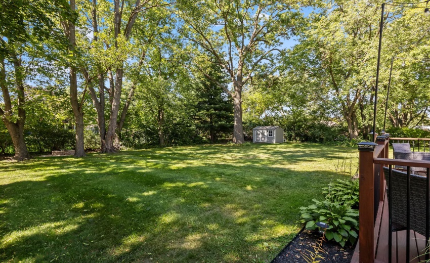 49-web-or-mls-IMG_5224