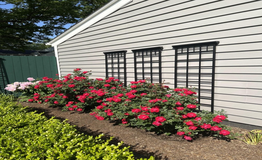 IMG_20260424_144245(1)