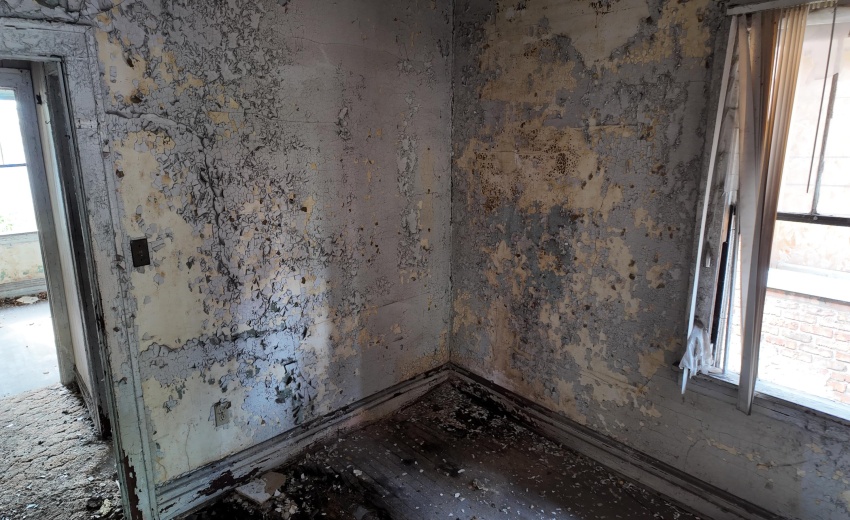 dji_mimo_20260423_162738_20260423162739_