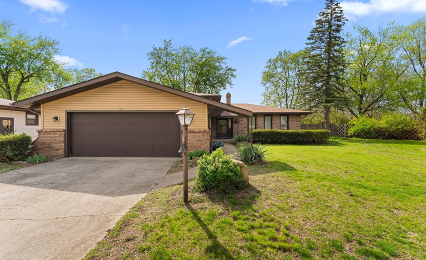 37-web-or-mls-DSC03381