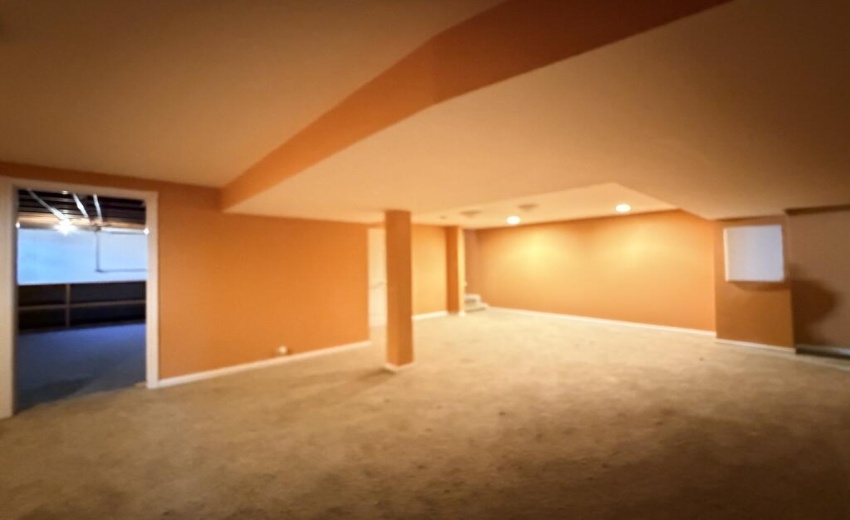 basement pic 2