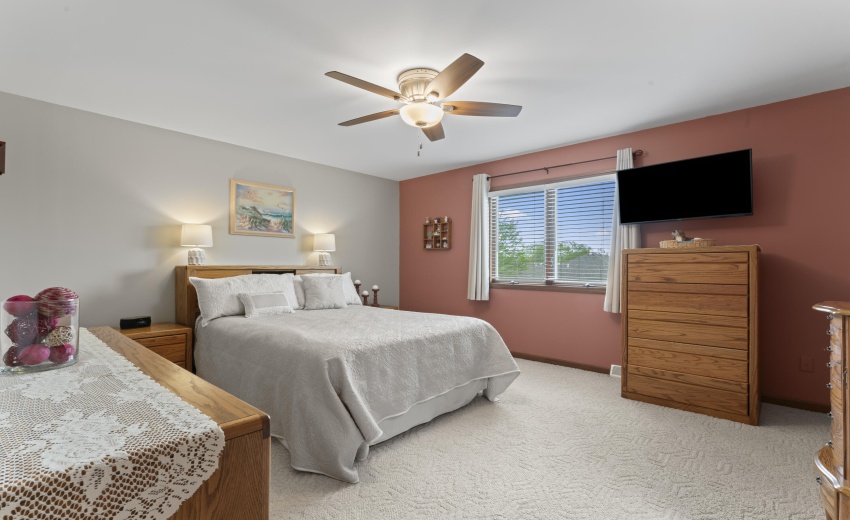 photos_high_resolution_Pheasant_Ct_20