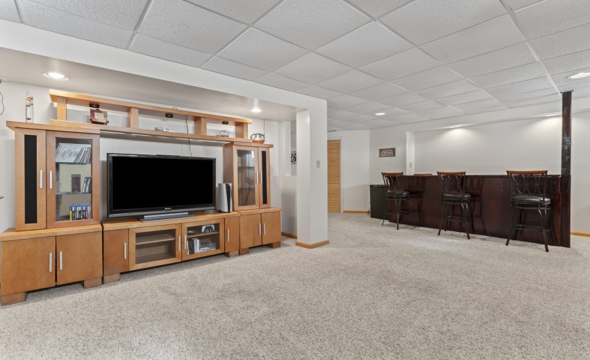 photos_high_resolution_Pheasant_Ct_30