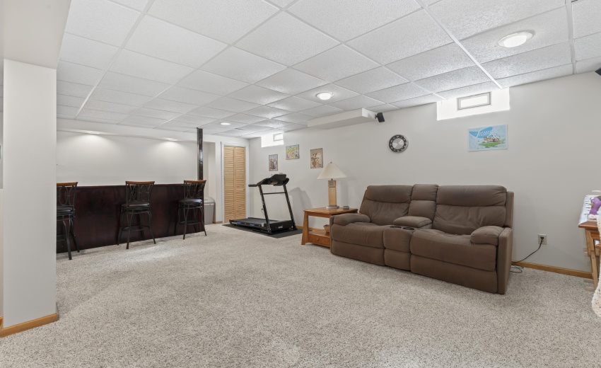 photos_high_resolution_Pheasant_Ct_31