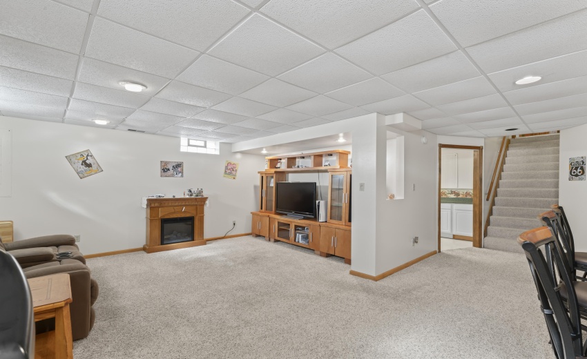 photos_high_resolution_Pheasant_Ct_32