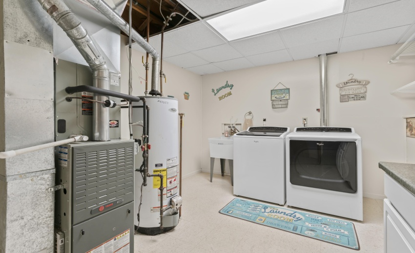 photos_high_resolution_Pheasant_Ct_33