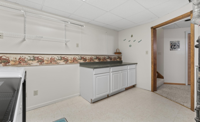 photos_high_resolution_Pheasant_Ct_34