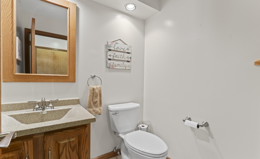 photos_high_resolution_Pheasant_Ct_19