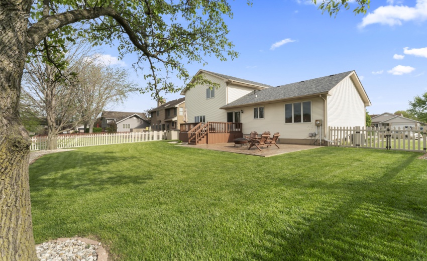 photos_high_resolution_Pheasant_Ct_35