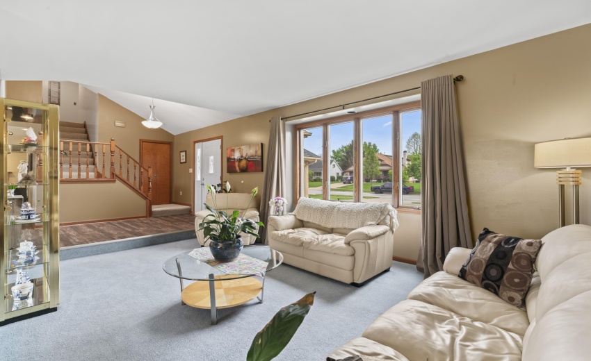 photos_high_resolution_Pheasant_Ct_05