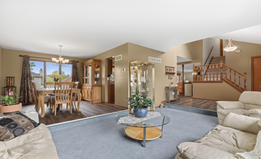 photos_high_resolution_Pheasant_Ct_07