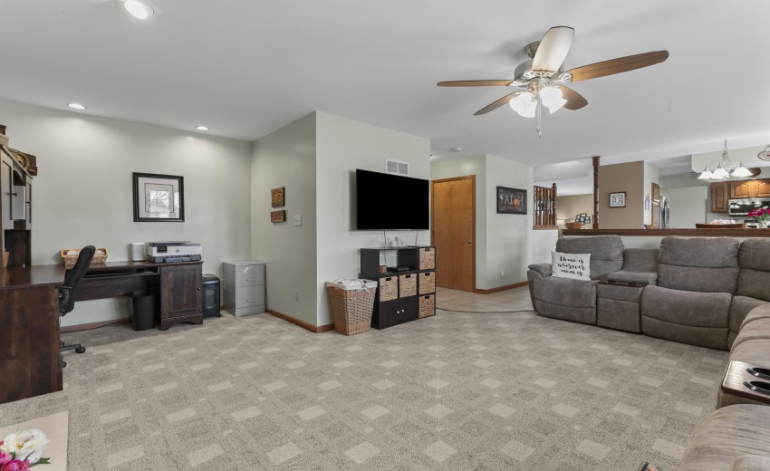 photos_high_resolution_Pheasant_Ct_17