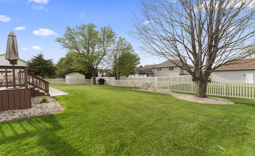 photos_high_resolution_Pheasant_Ct_37