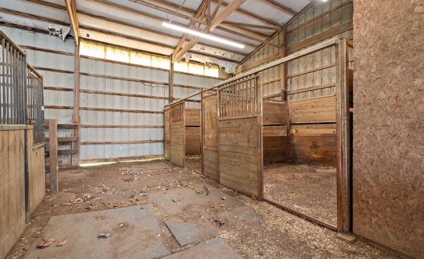 80-web-or-mls-DSC05459