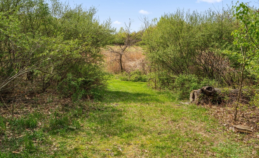 75-web-or-mls-DSC05454