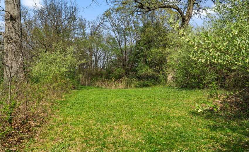 76-web-or-mls-DSC05455