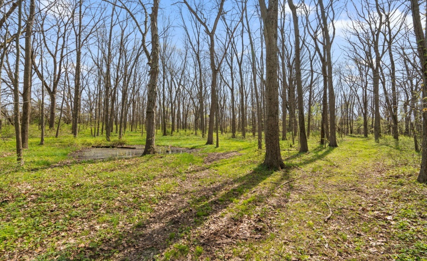 79-web-or-mls-DSC05458