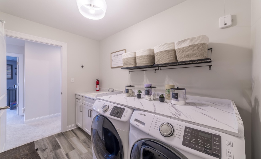 QLaundryTalus0062