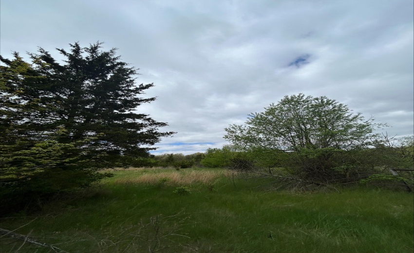 katia pasture 2