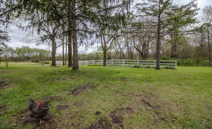 IMG_9495-HDR