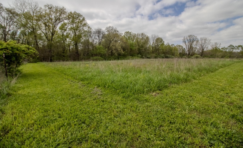 IMG_9594-HDR