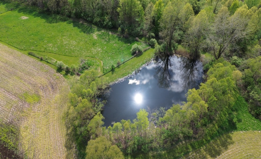 DJI_0554