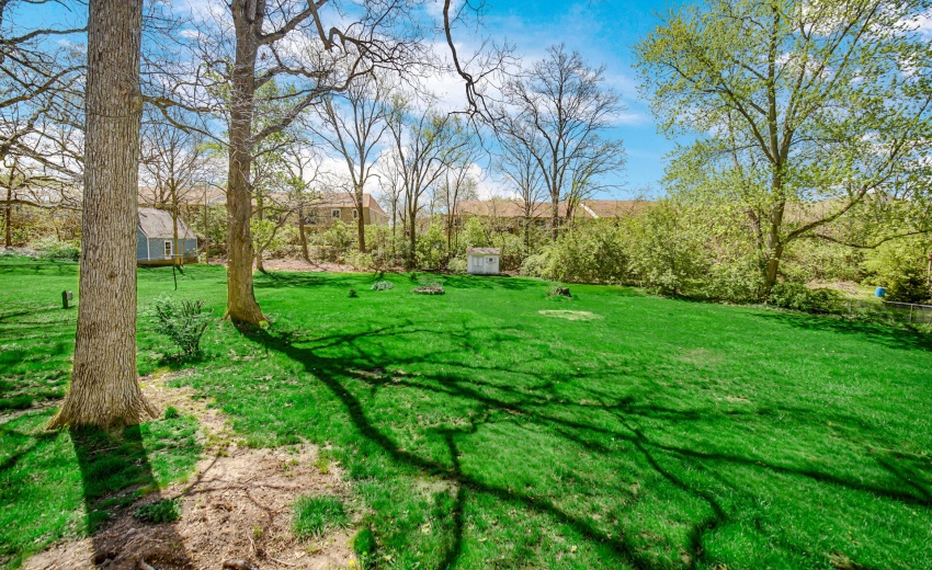 Lovely Backyard