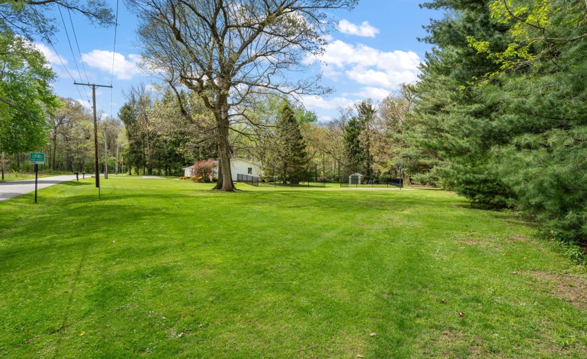 37-web-or-mls-DSC07493