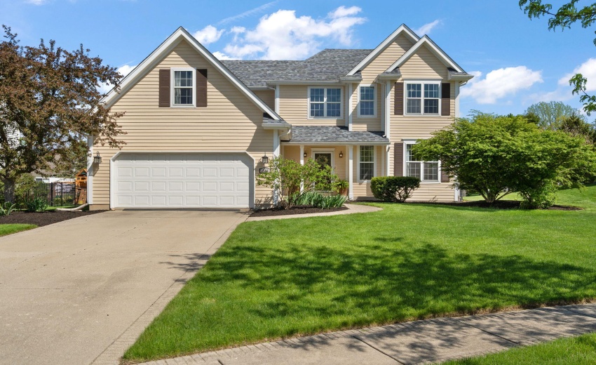 2-web-or-mls-DSC07710 (2)