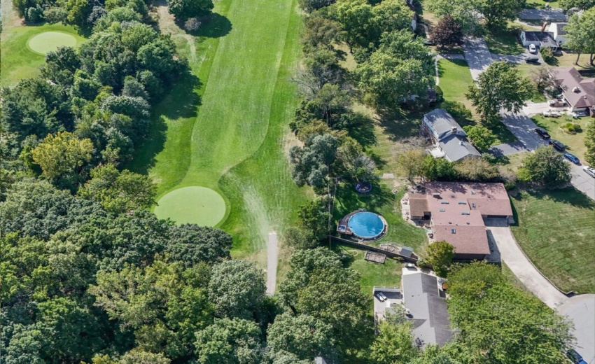 make pool water green
