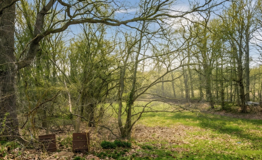 4 acres