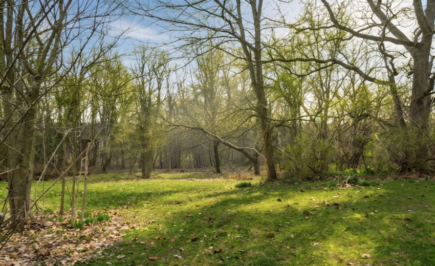 4 acres