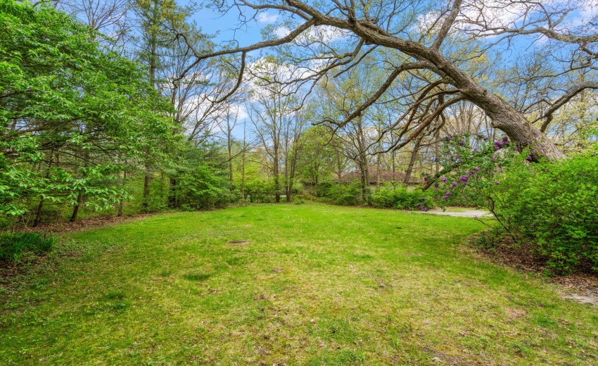 44-web-or-mls-DSC06710