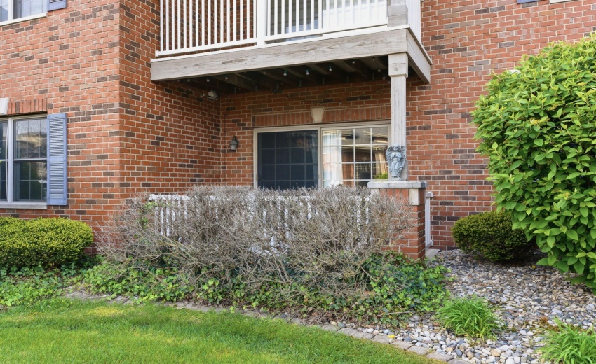 10-web-or-mls-DSC07145