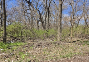 1124 Mount Street, Gary, Indiana, ,Land,For Sale,Mount,NRA838219