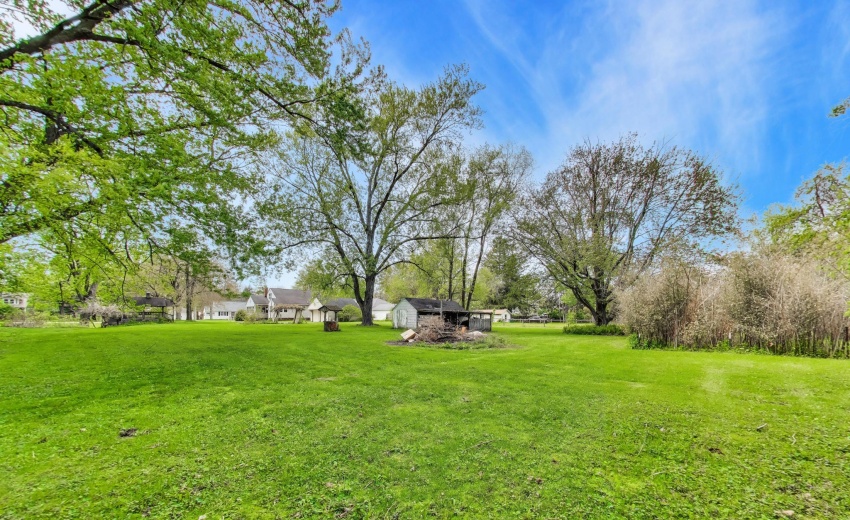 mls_0041 (1)