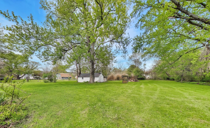 mls_0040 (1)