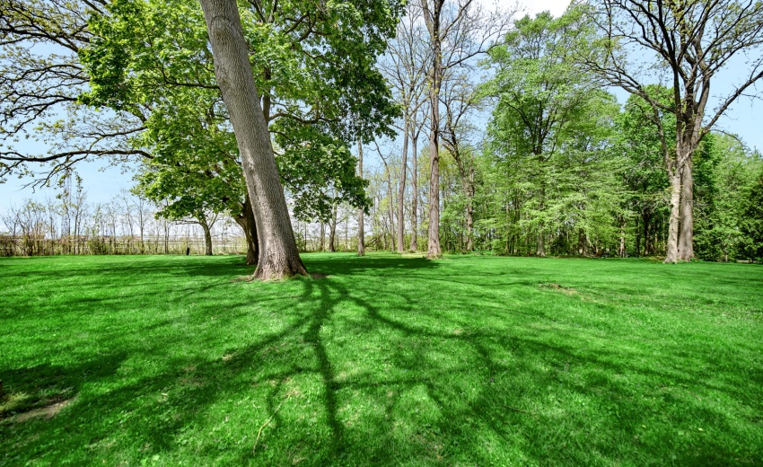 Yard