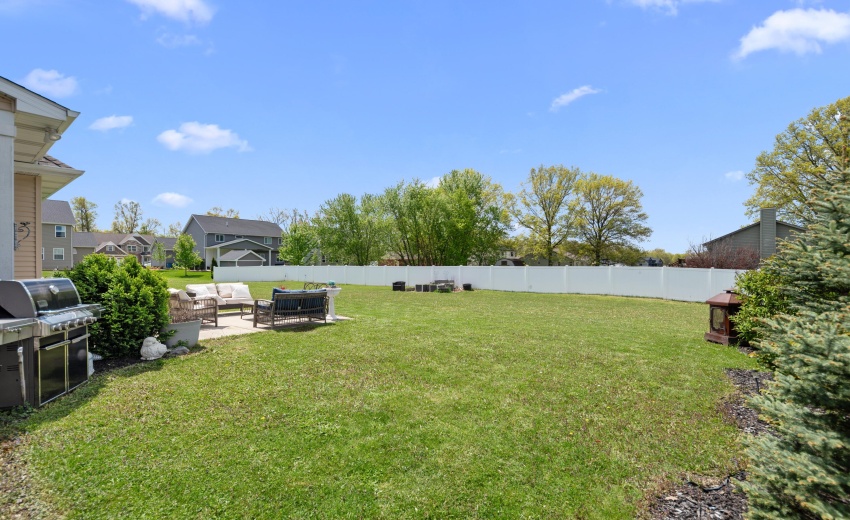 Backyard 1