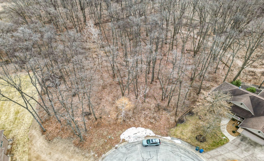 021_dji_0081_746