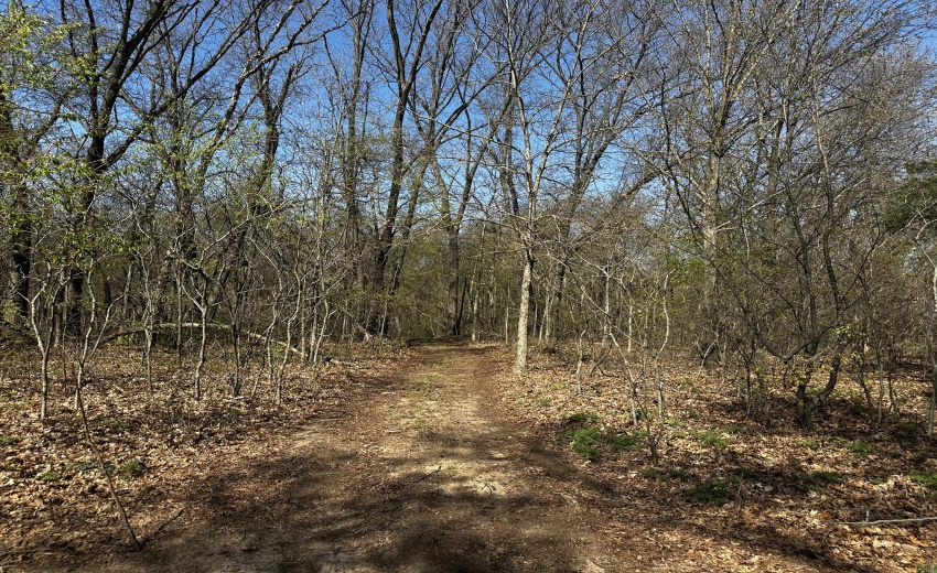trail