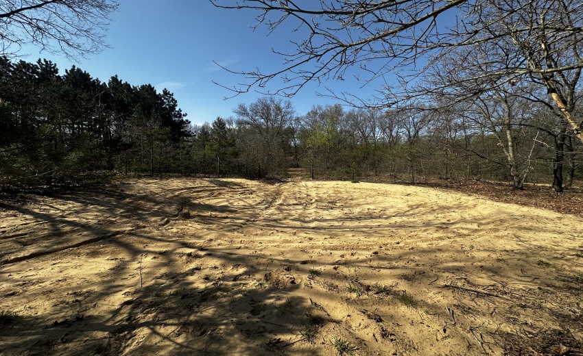 sand dune