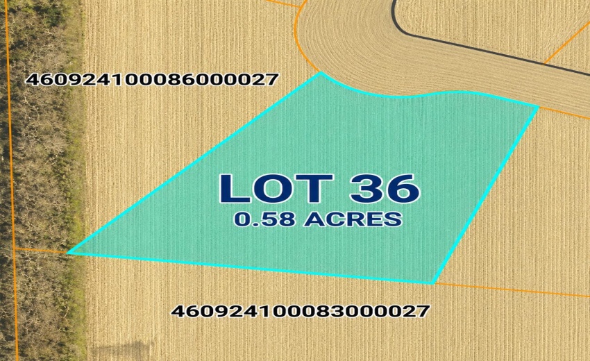 LOT36