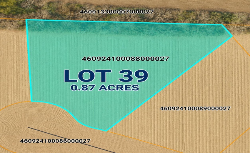 Lot 39