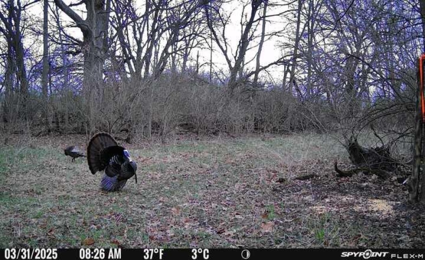 image2 (1)
