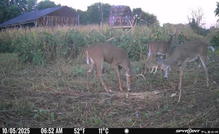 image3