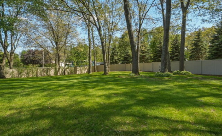 image6