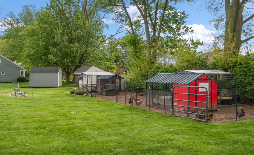 31-web-or-mls-DSC09039