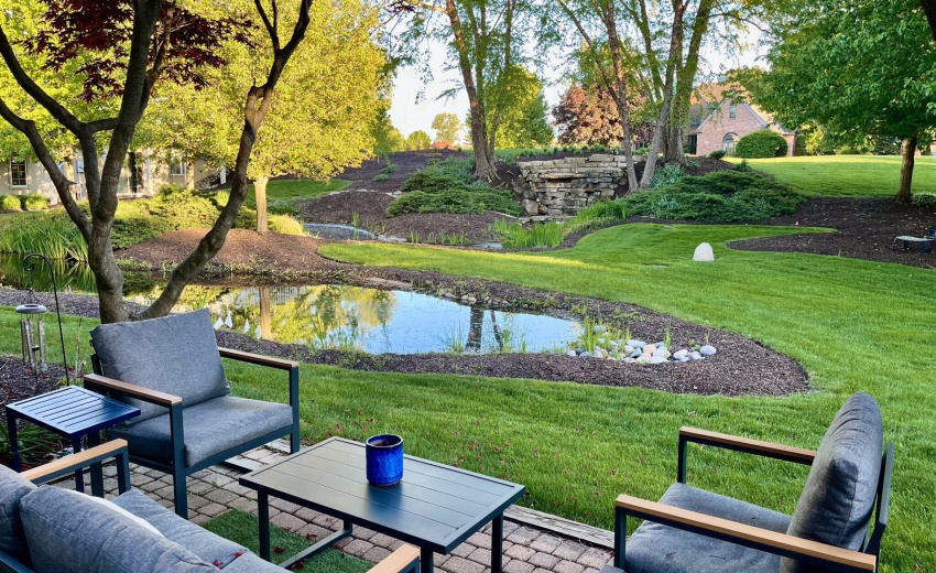 Patio Back Yard