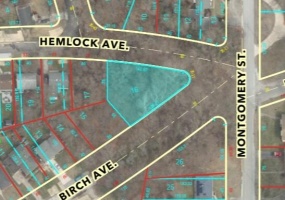 300-10 Birch Avenue, Gary, Indiana, ,Land,For Sale,Birch,NRA838895